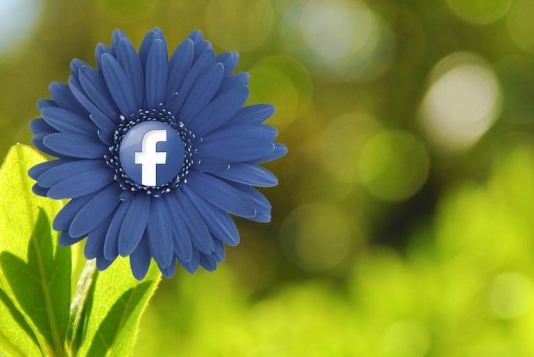 Facebook flower