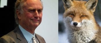 Richard Dawkins fox