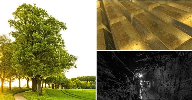 Broad leafed trees, gold bars and a mineshaft