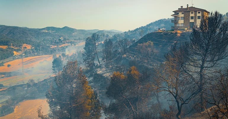 A picture of a wildfire in Catalonia in 2022