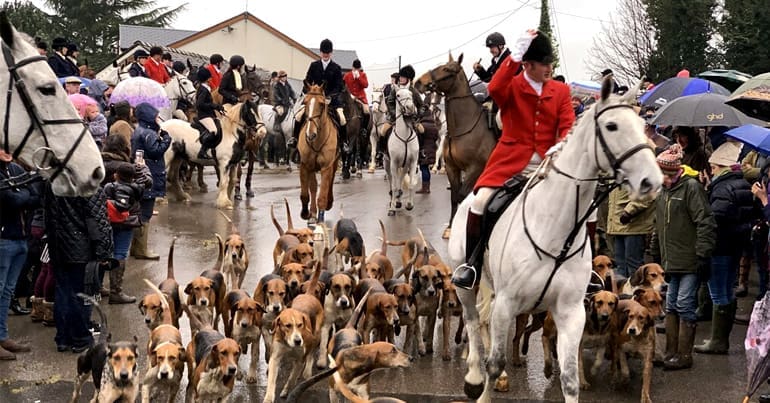 Huntsman with hounds riding out of a town centre on Boxing Day, fox hunting