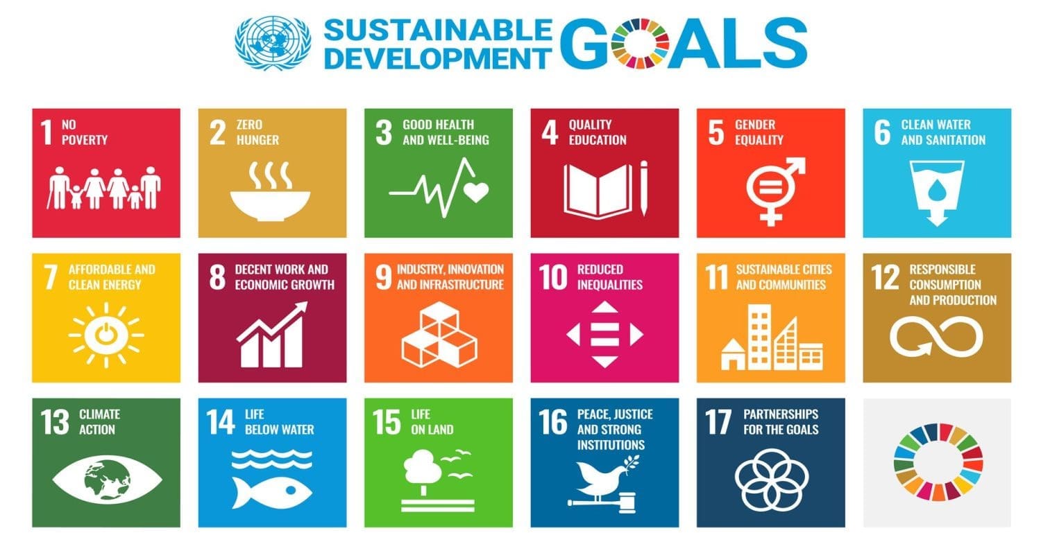 United Nations' Sustainable Development Goals (SDGs)