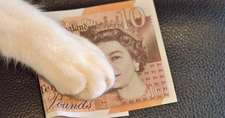A cat paw grabbing a ten pound note High Pay Centre