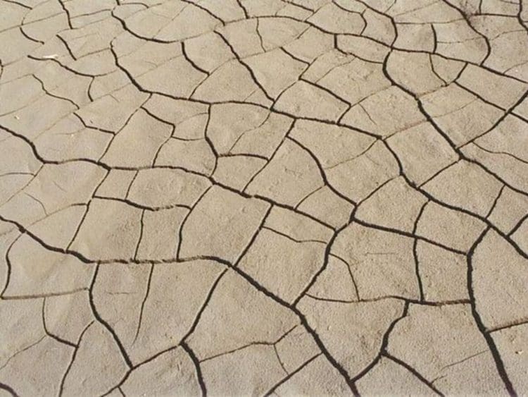 Fissures in dried out mud from extreme heat climate crisis europe
