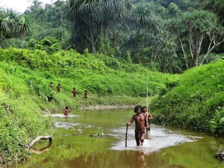 Image shows members of the Shompen tribe walking in a river India