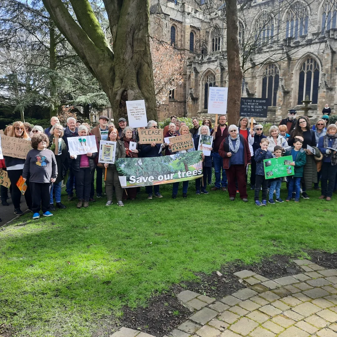 Save the Trees campaigners gather with placards round the veteran beech tree. 