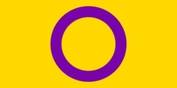 Intersex people pride flag UN resolution