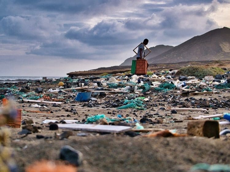 Image shows man clearing rubbish from beach INC plastic