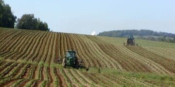 EU agricultural reform Common Agricultural Policy