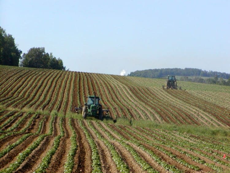 EU agricultural reform Common Agricultural Policy