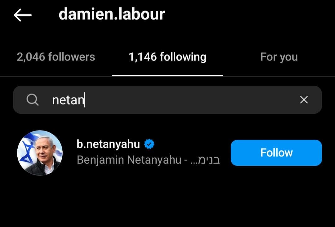 Damien Egan's Instagram followers, showing that he follows Netanyahu among 1,146 accounts he follows. 